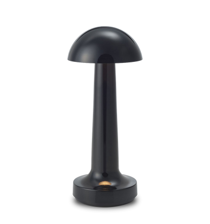 LED Enclosed Dome Table Lamp