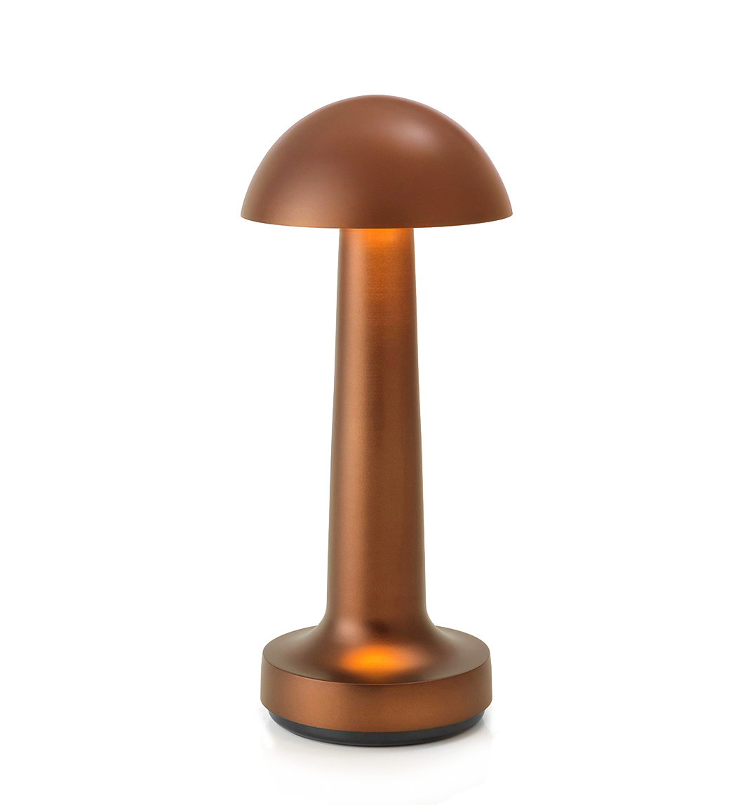 LED Enclosed Dome Table Lamp