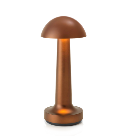 LED Enclosed Dome Table Lamp