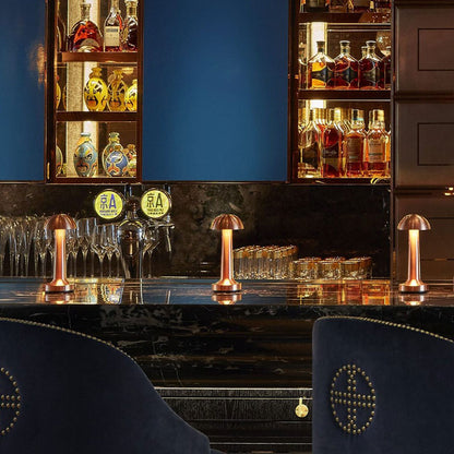 LED Enclosed Dome Table Lamp